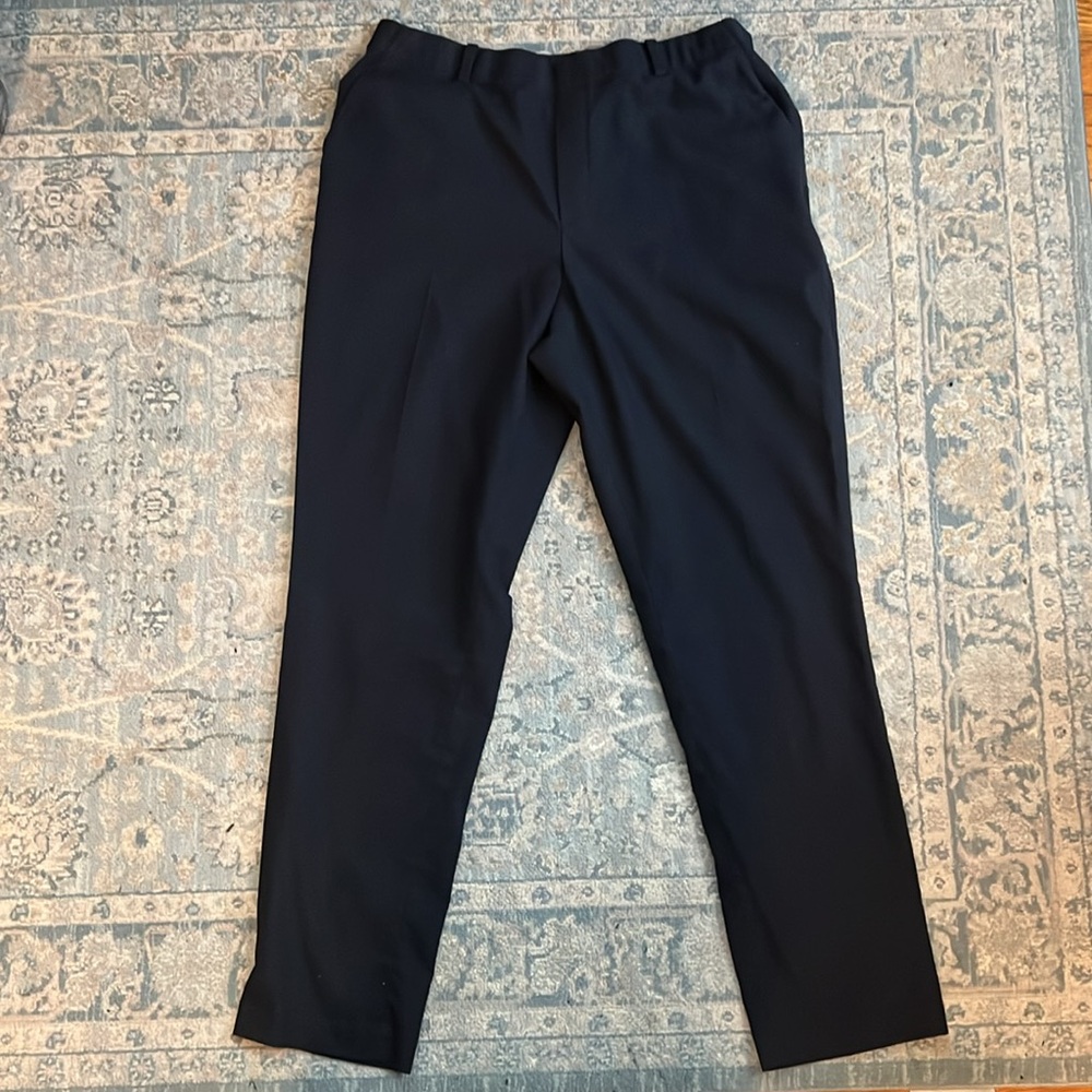 Act Fake Fly Flat Front Uniqlo Dress Pant Elastic Back